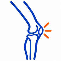 Hip and knee pain icon